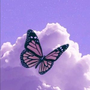 Meet your Posher, Bob